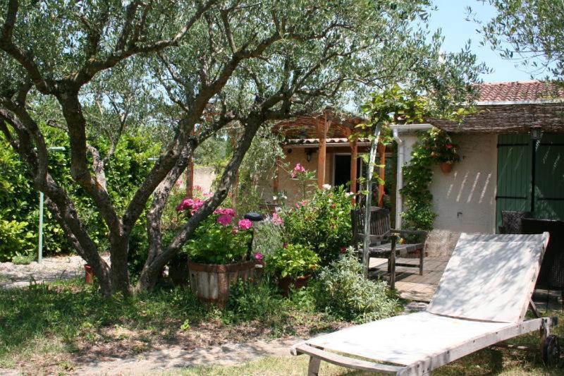 Gite Des Oliviers La Roque-sur-Cèze Kültér fotó