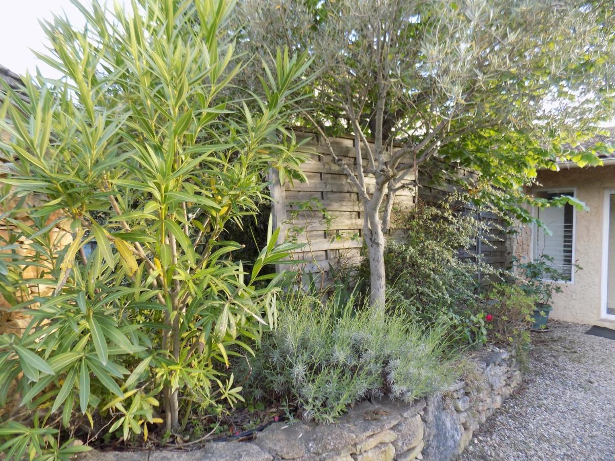 Gite Des Oliviers La Roque-sur-Cèze Kültér fotó